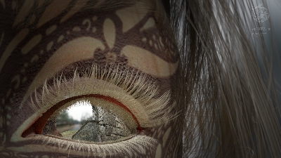 Hi all, still playing around with Calliopes wings, just mucking around with ideas here.